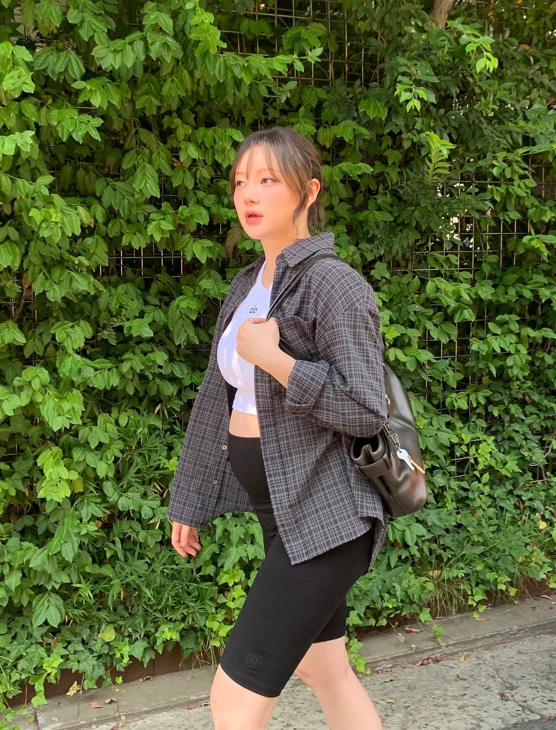 슈레드 양지 4
