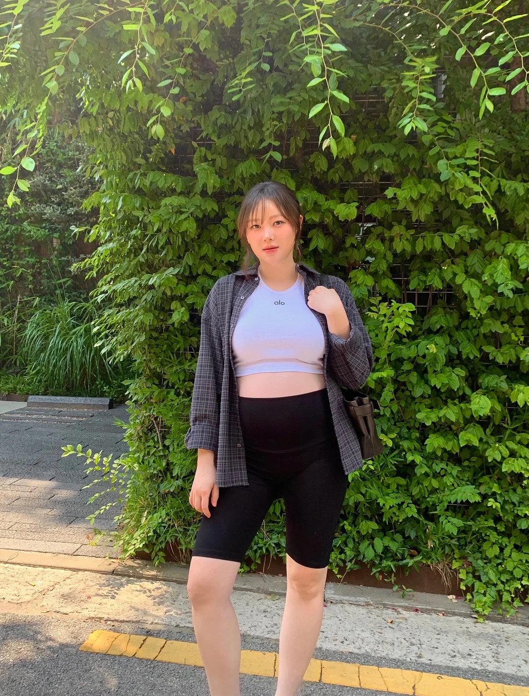 슈레드 양지 5