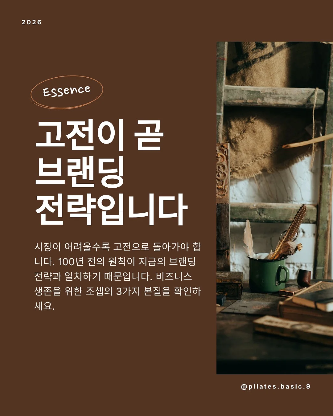 트레이더스 26년 6월 2주차 신상 2