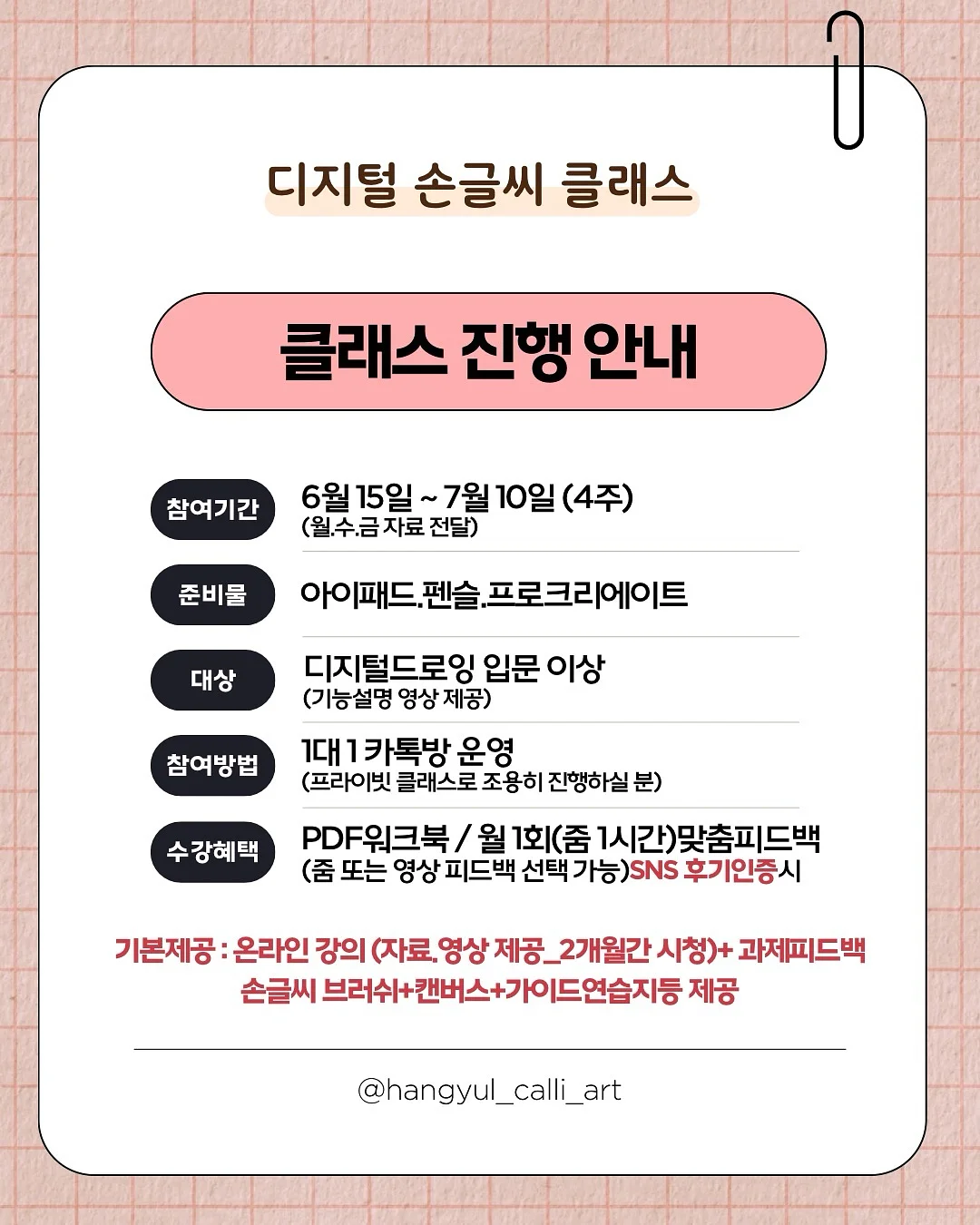 얼제이드 얼린 생 수박주스 250ml * 8병 2