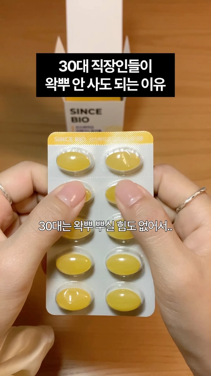 카니보어 기초강의