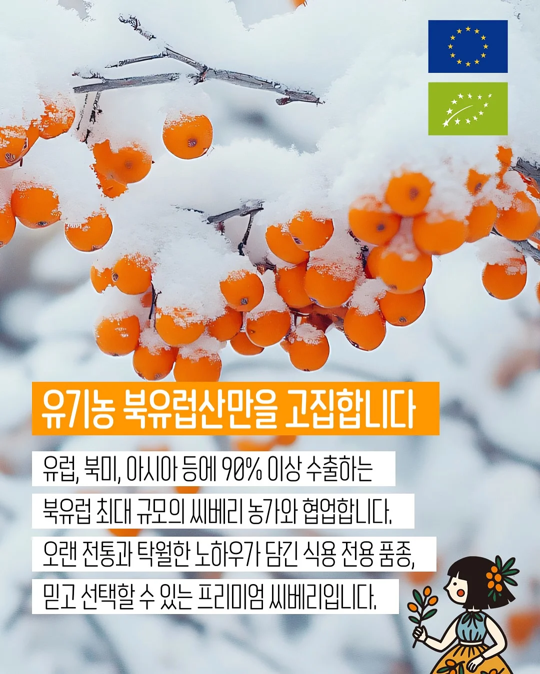 디오 정글짐 13