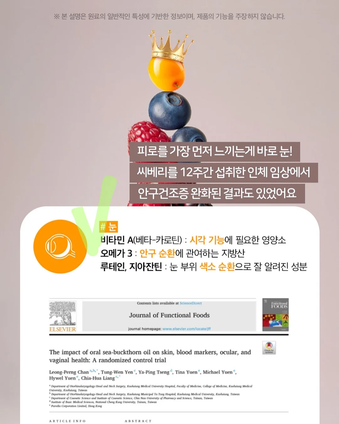 디오 정글짐 16
