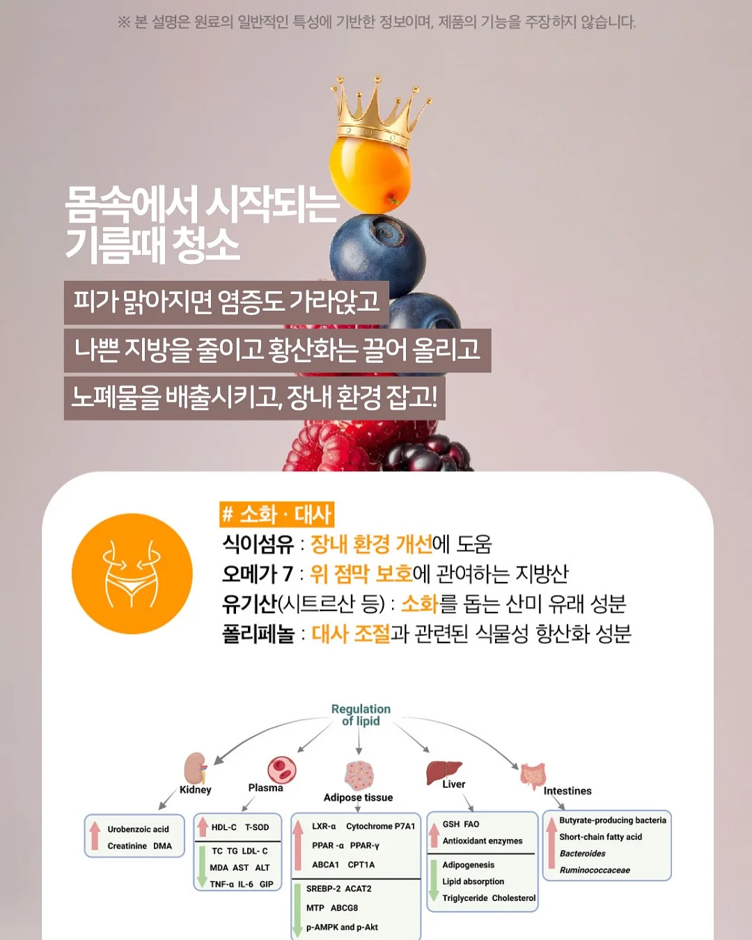 디오 정글짐 17