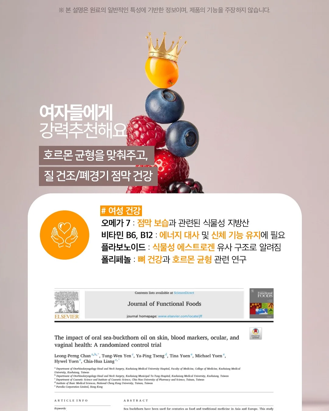 디오 정글짐 18