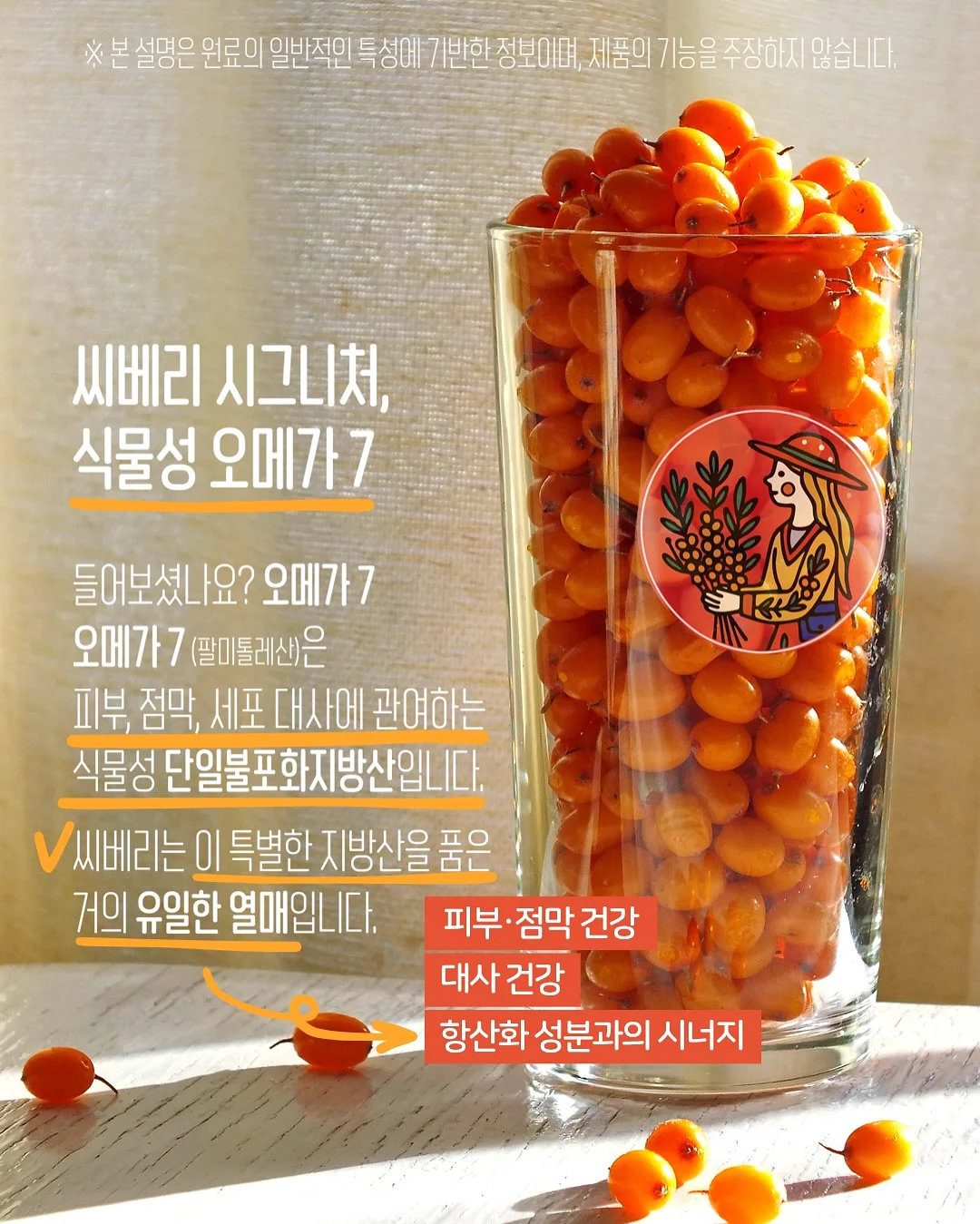 디오 정글짐 8