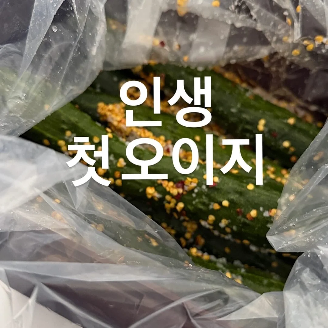 점프 개구리 1