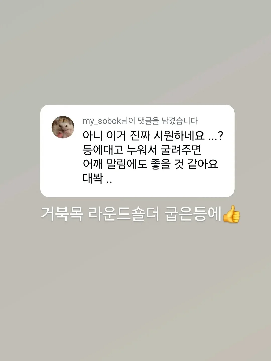 로션 5