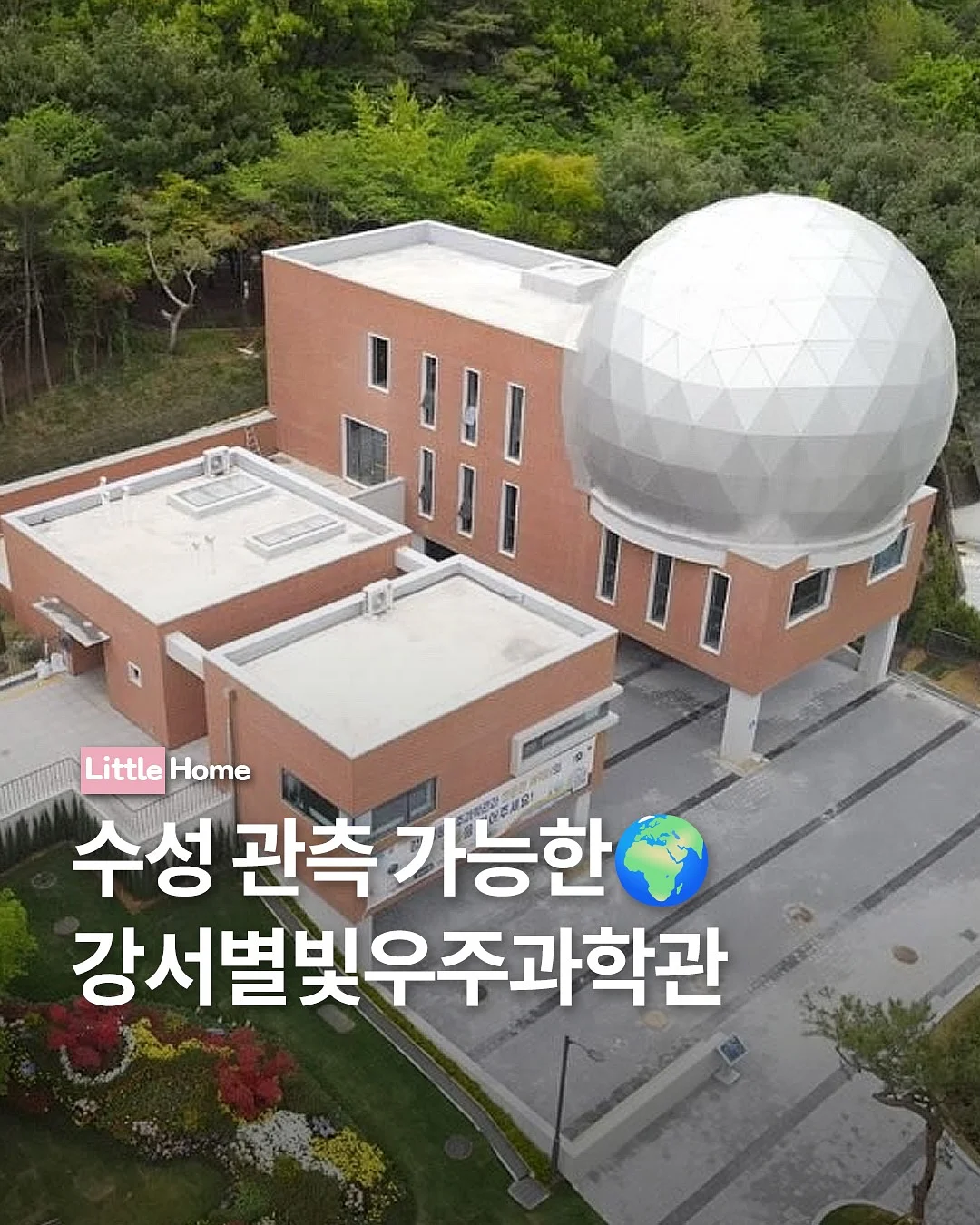 만성 염증 관리 영양제 1