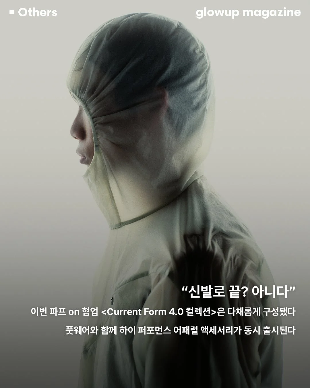 계란찜 비법 재료 3