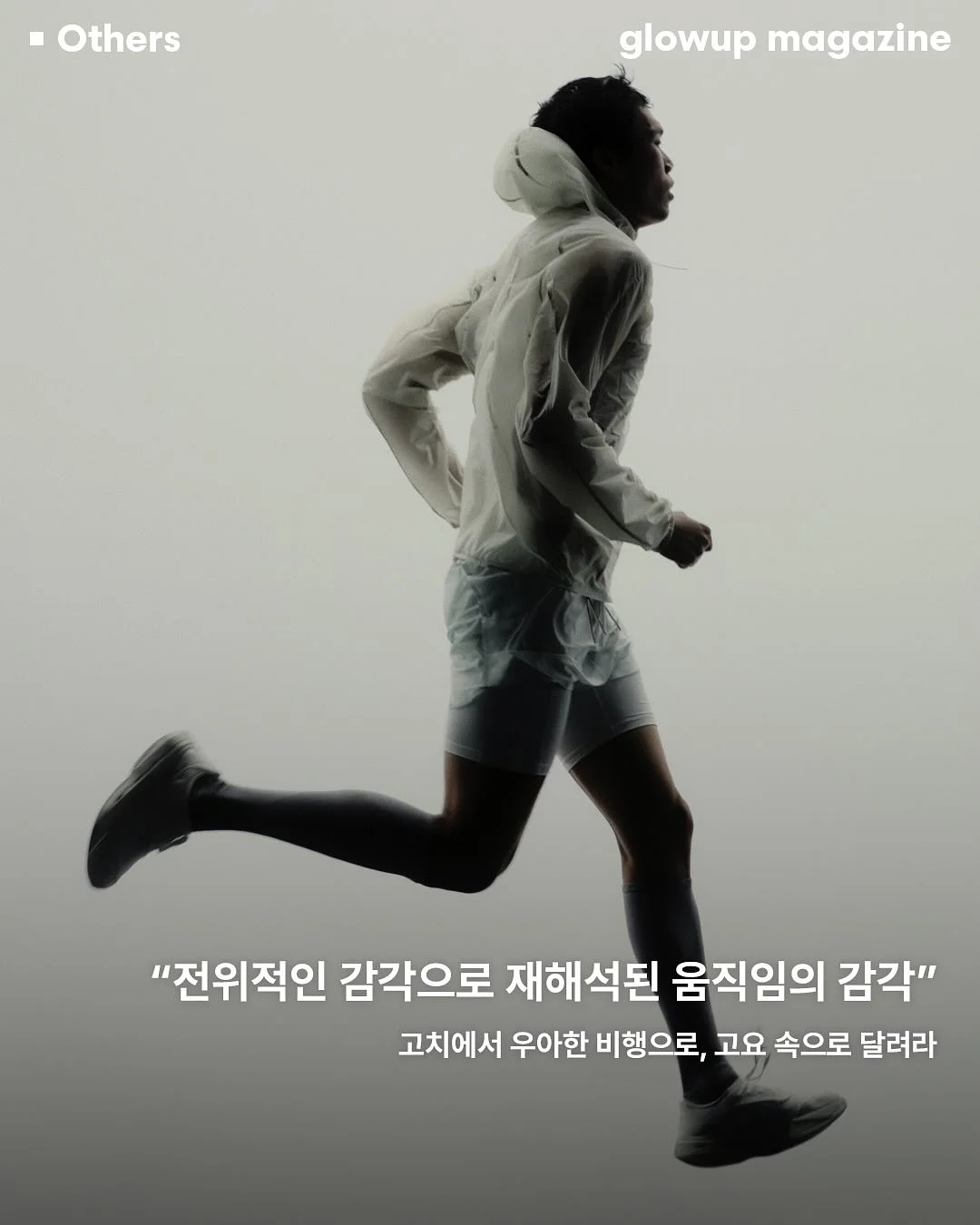 계란찜 비법 재료 7