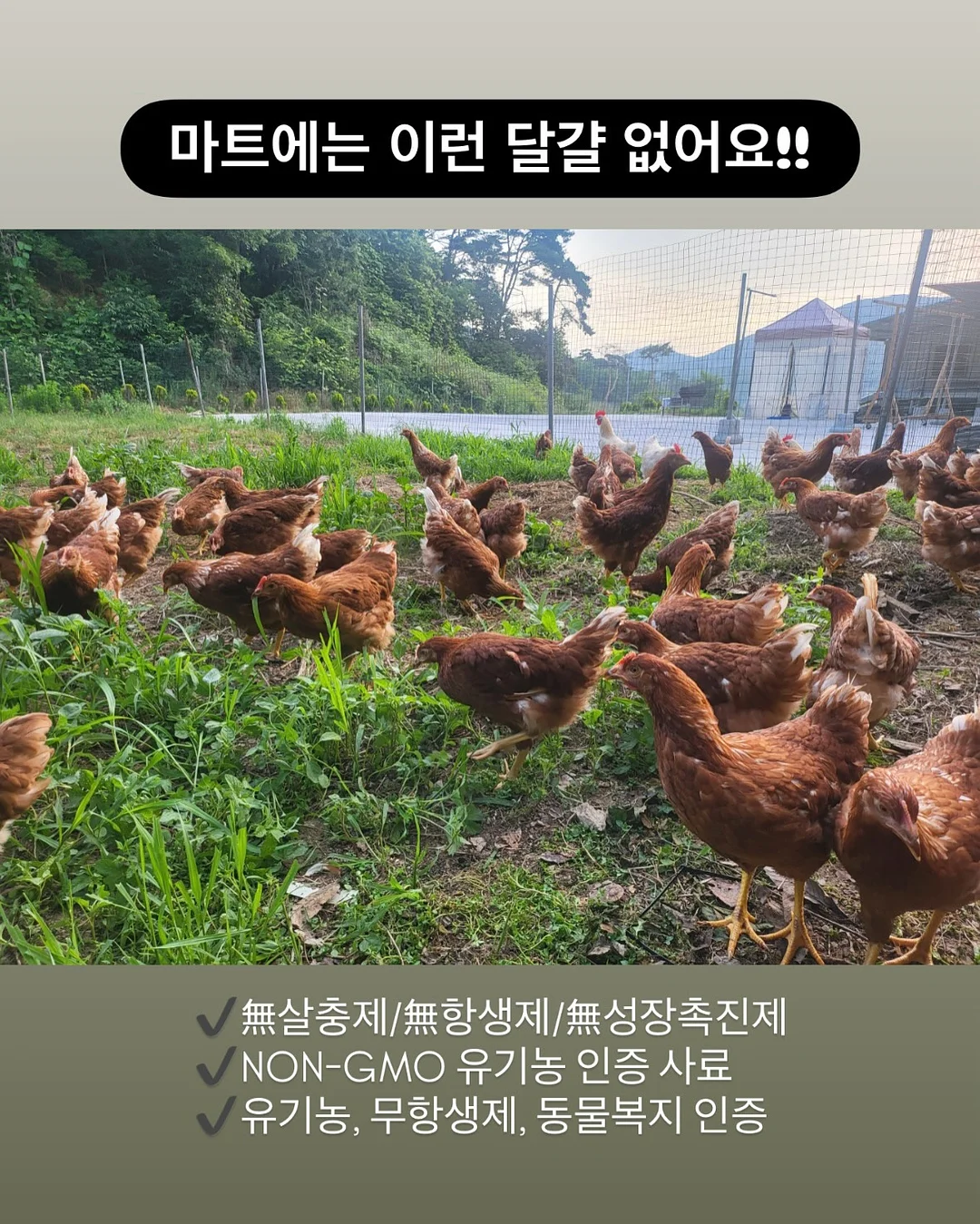 타이 반팔 블라우스와 언발 뷔스티에 셋업 6