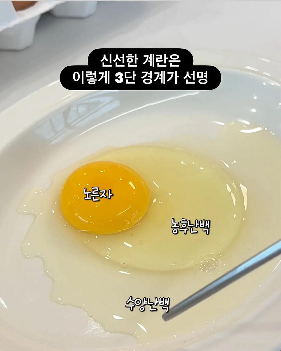타이 반팔 블라우스와 언발 뷔스티에 셋업 10