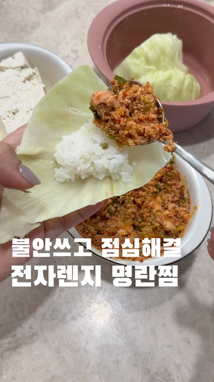 라이트 브레이커 점퍼