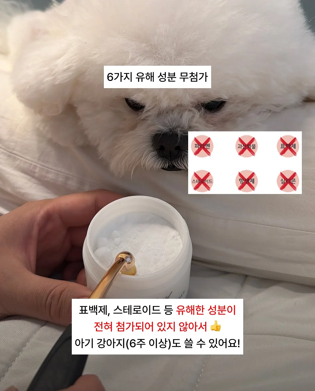 금연껌 12