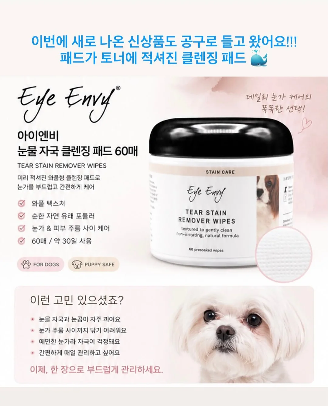 금연껌 16