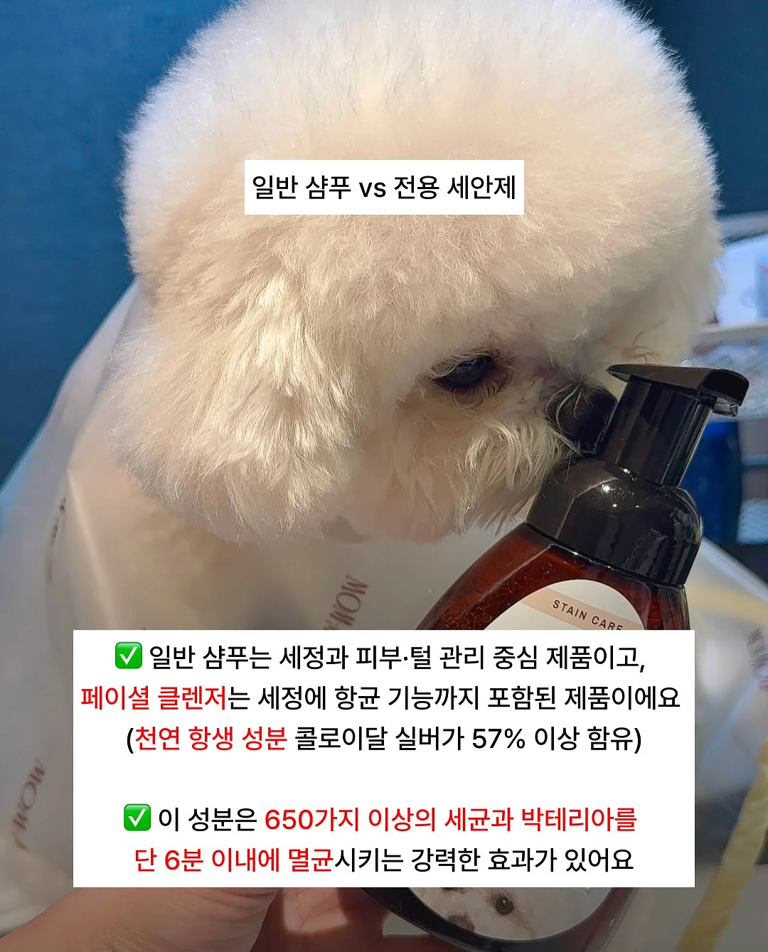 금연껌 9
