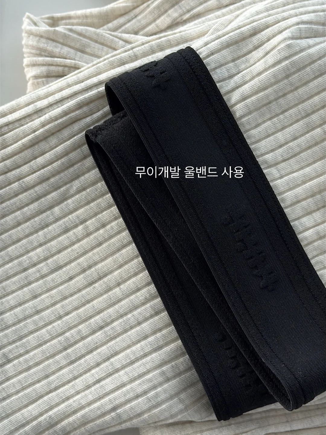 최재천의 동물 대탐험 3