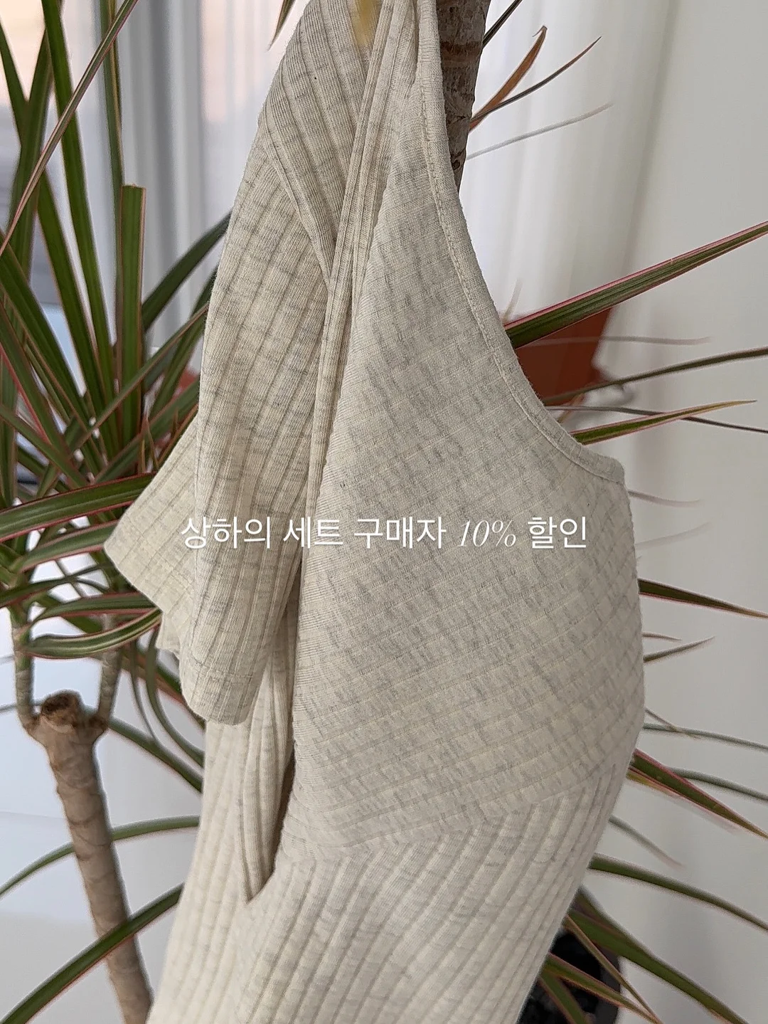 최재천의 동물 대탐험 5