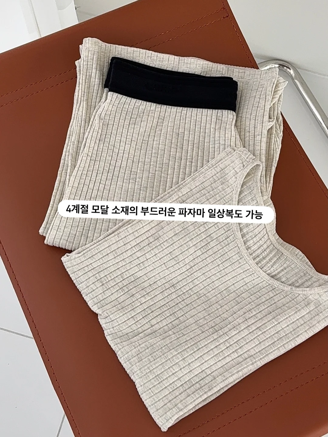 최재천의 동물 대탐험 6