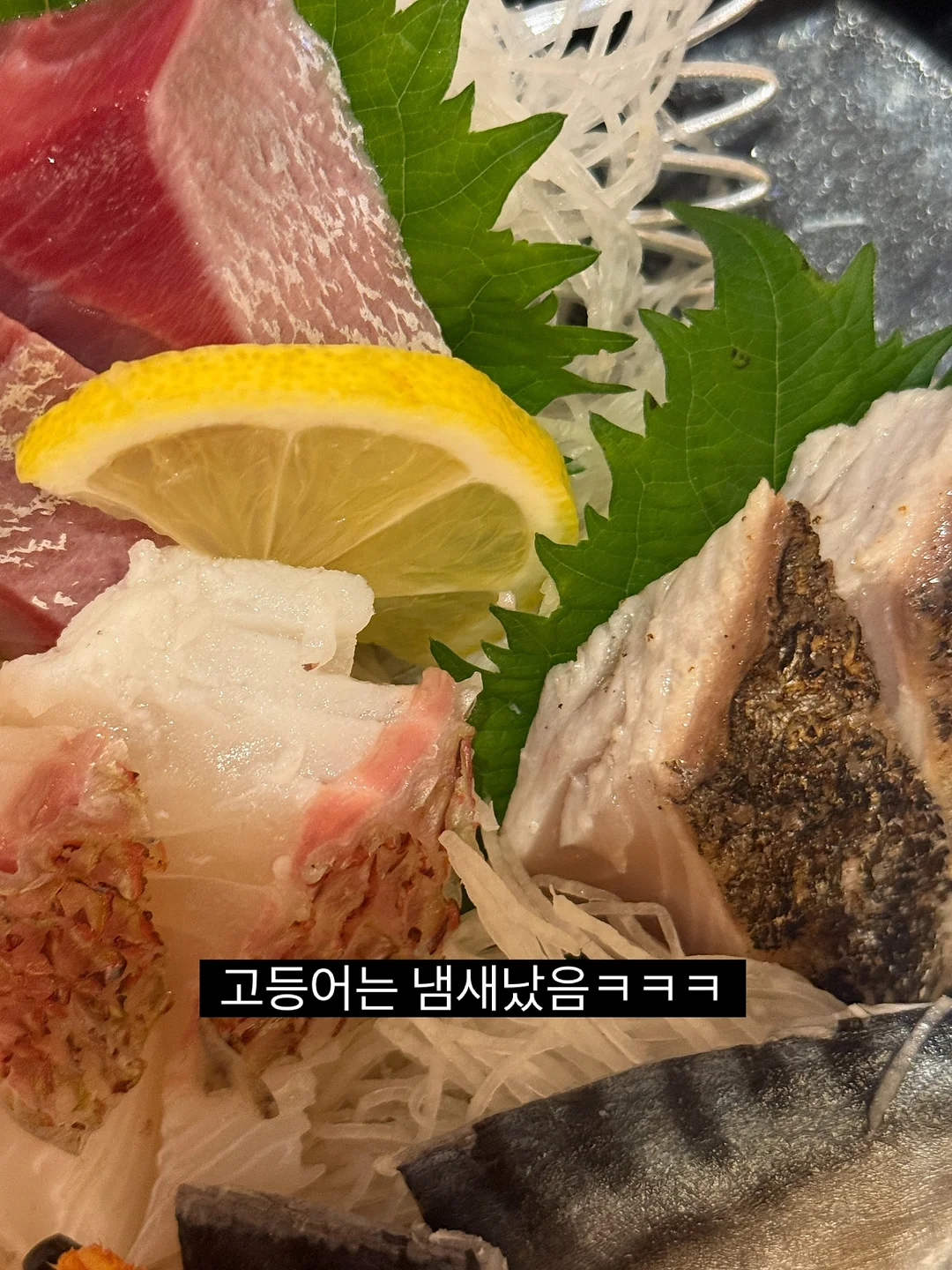 이중 블라인드 11