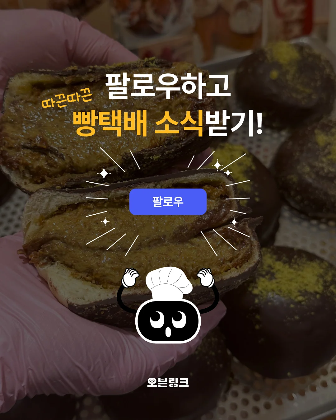카네이션 8