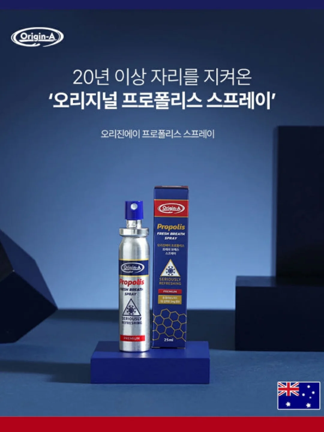 페이퍼플라워 정규 CLASS 20