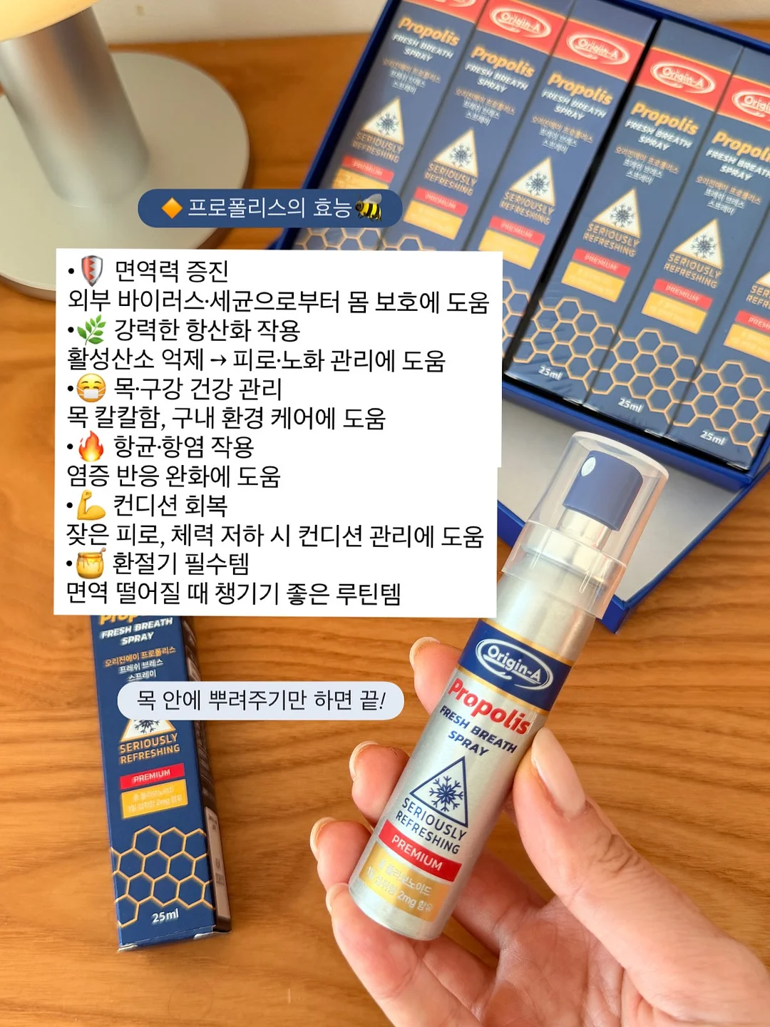 페이퍼플라워 정규 CLASS 3