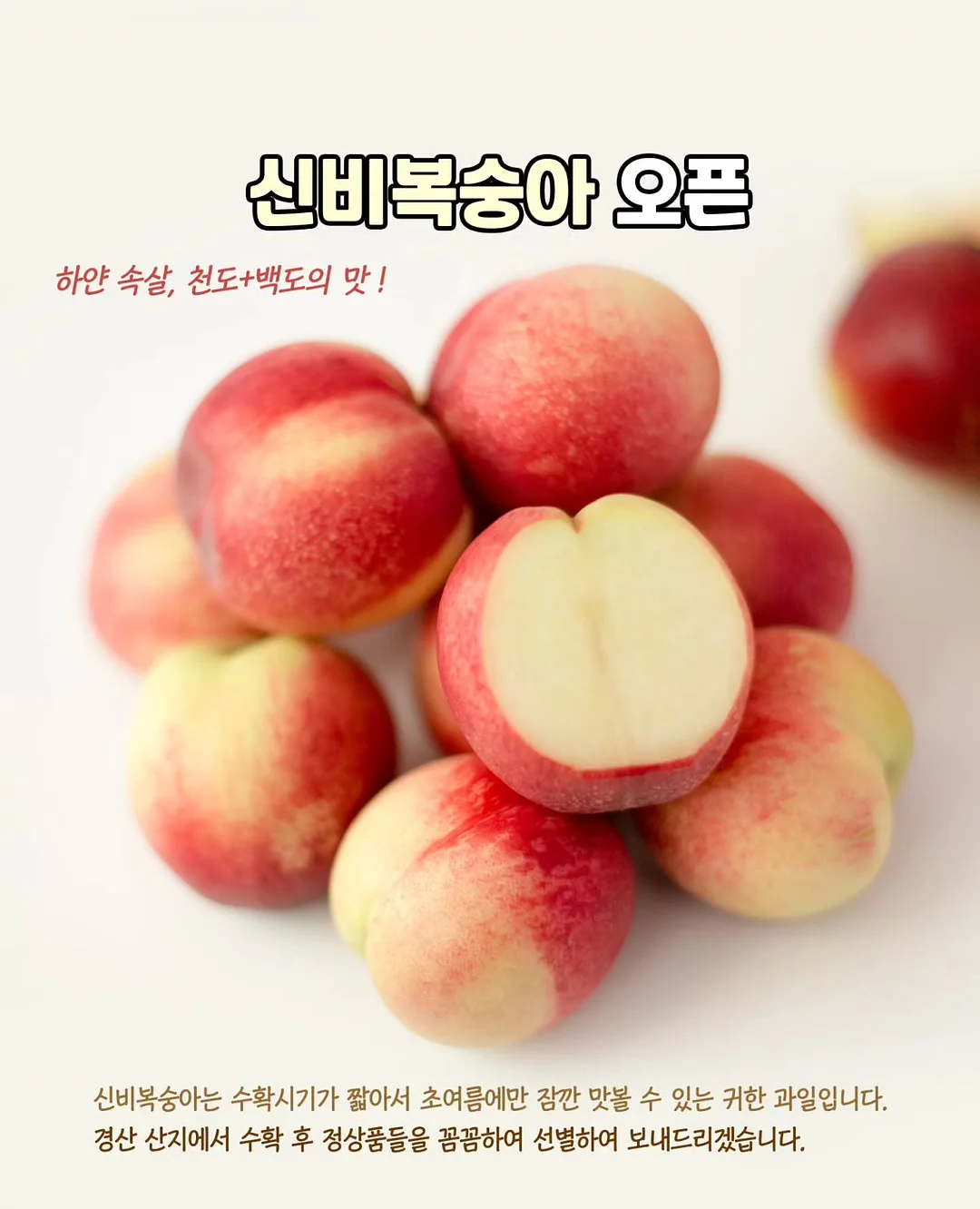 로아시뷰티 속눈썹 시술 1