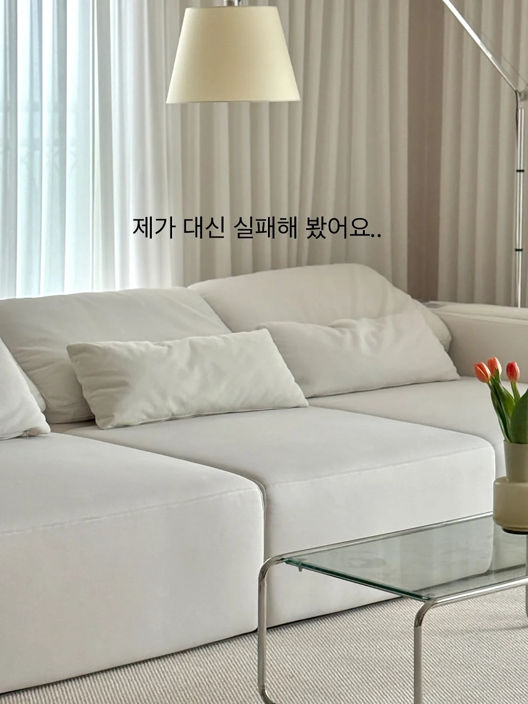 하트호야 1