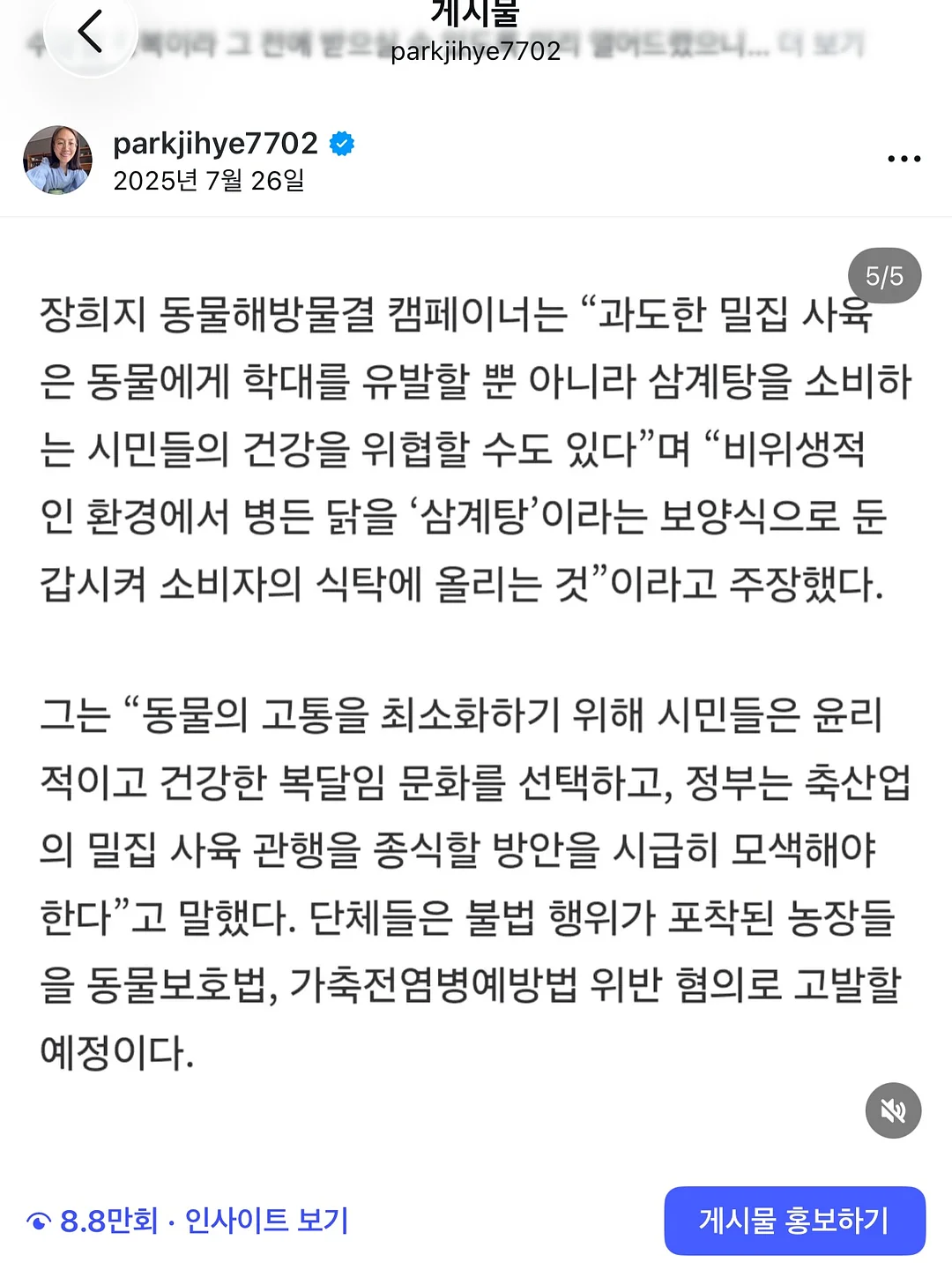 유럽식 격자창 시트지 11