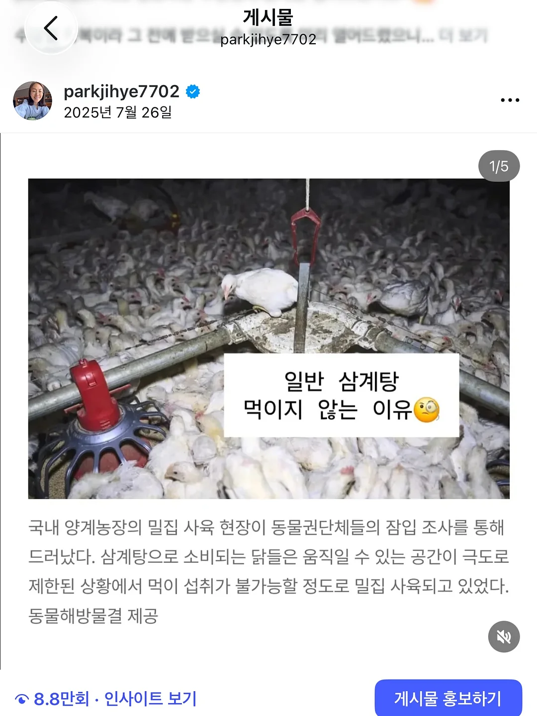 유럽식 격자창 시트지 7