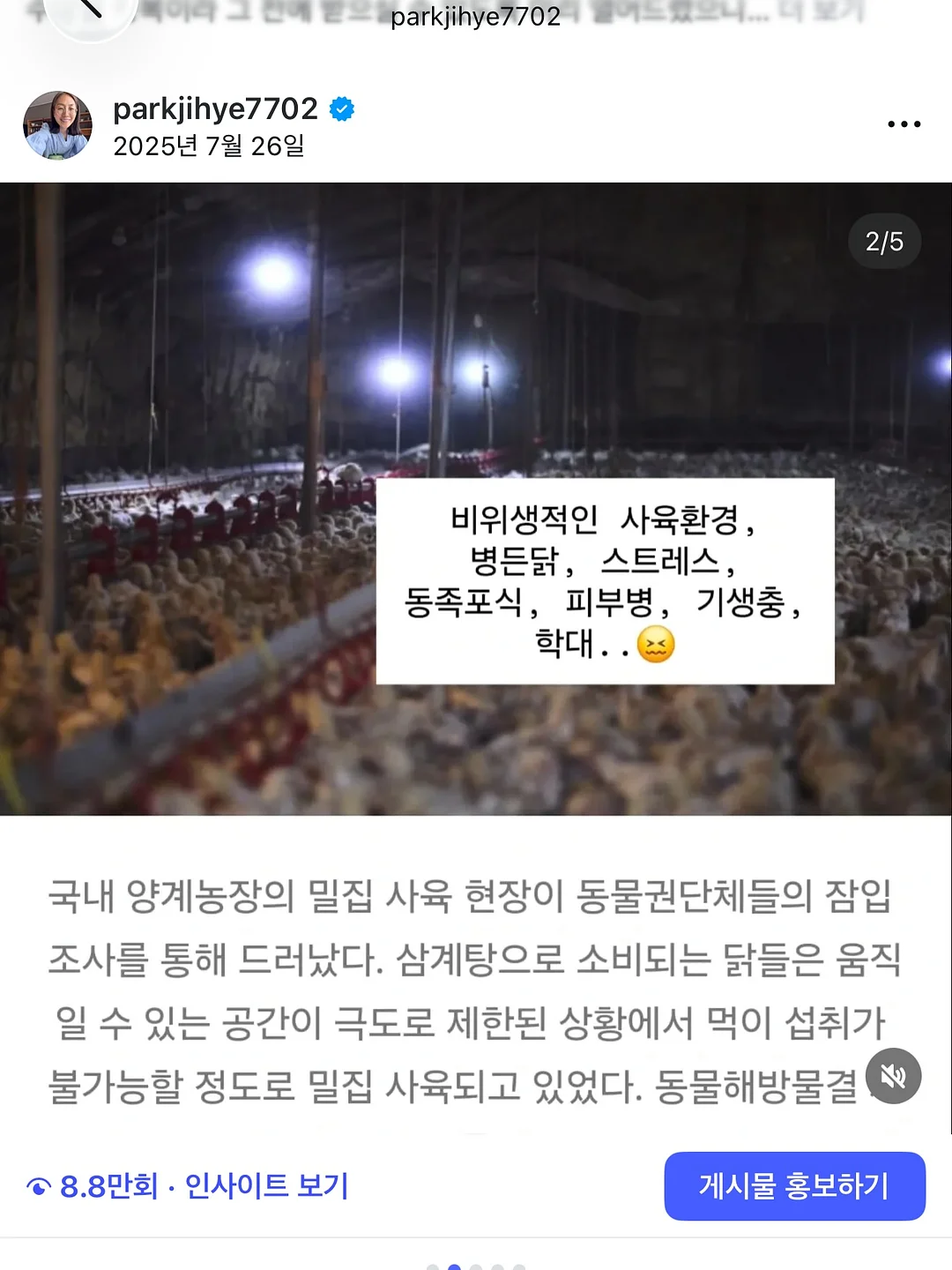 유럽식 격자창 시트지 8