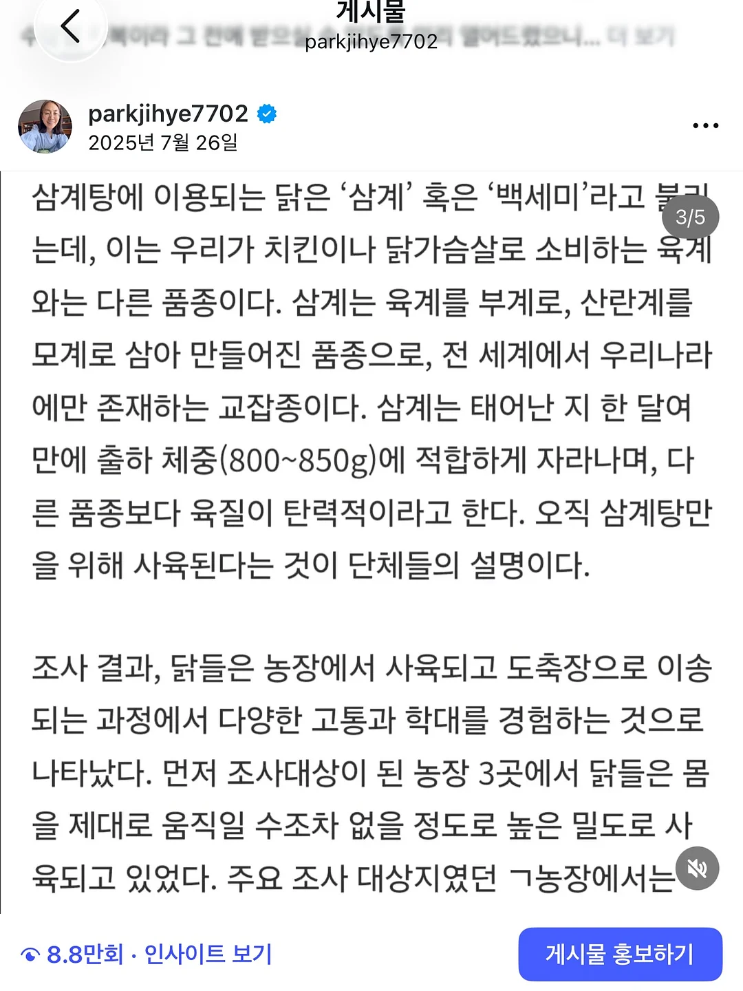 유럽식 격자창 시트지 9