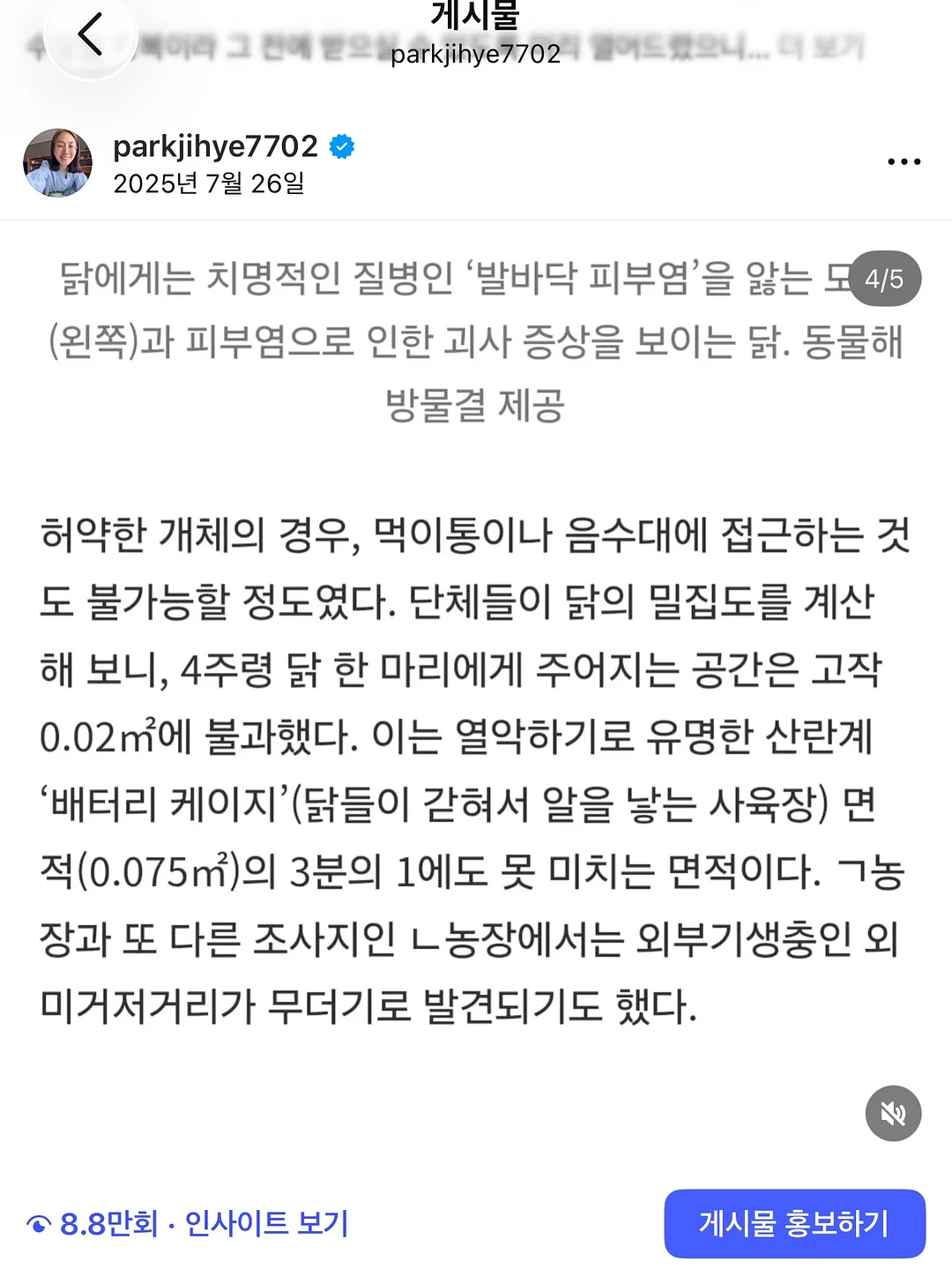 유럽식 격자창 시트지 10