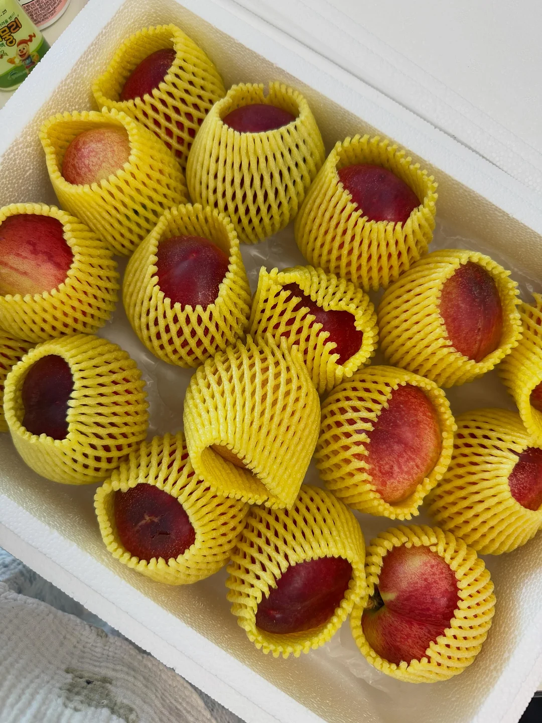 해파리 가습기 2