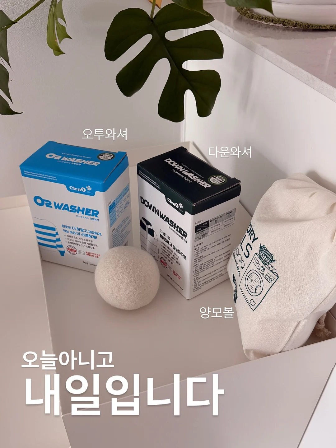 테라로사 피크닉 쿨러백 세트 1