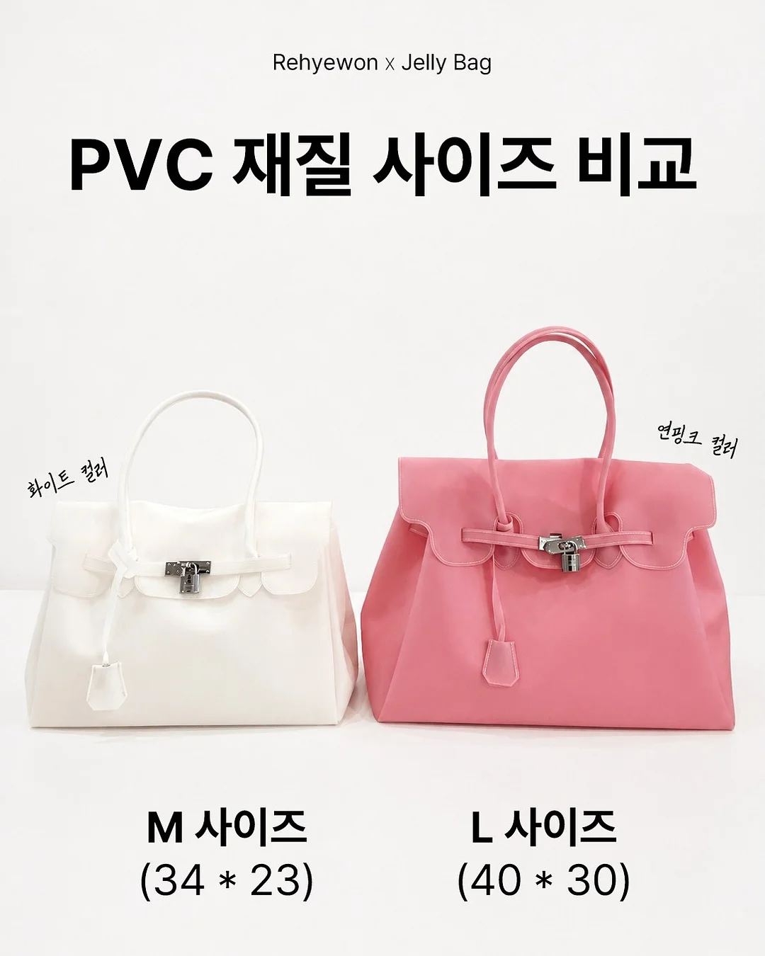 쁘띠라피, 메리다 실버, 메탈사 꽃갈치 1