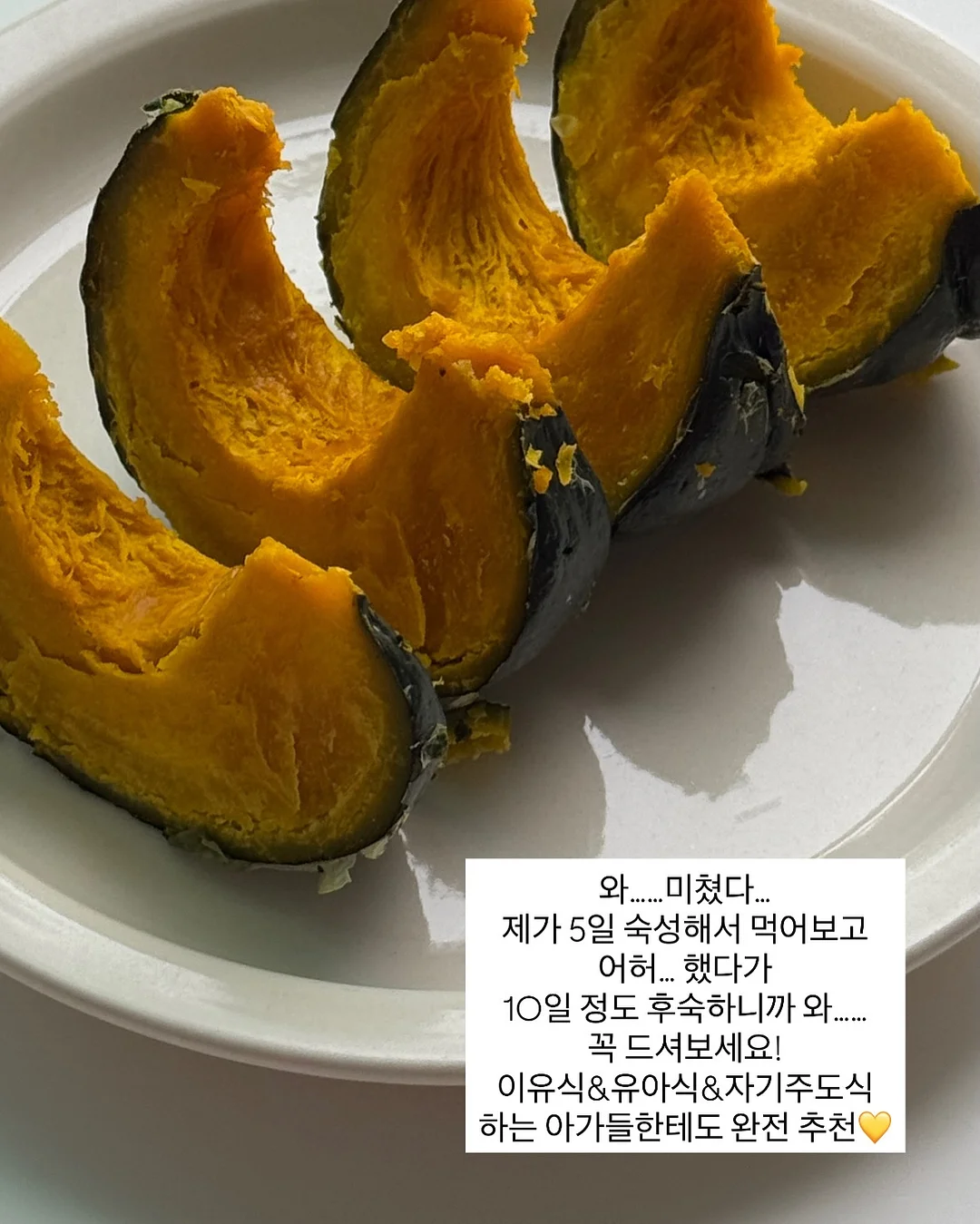 초등 백구팀 현장&봉투 모의고사 13