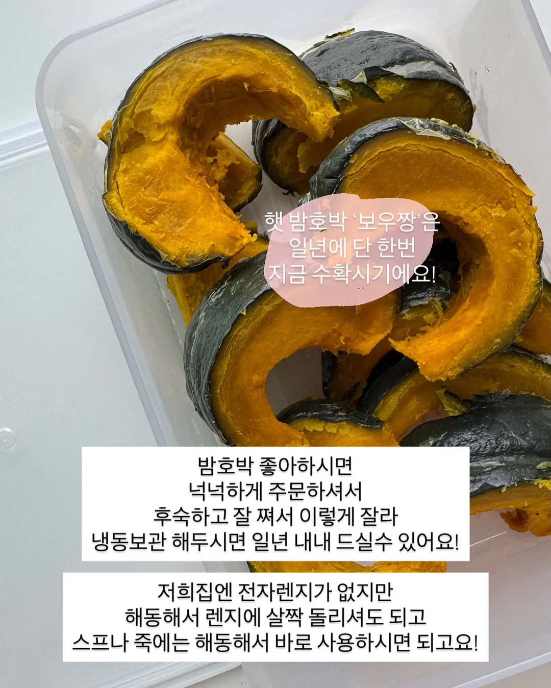 초등 백구팀 현장&봉투 모의고사 14
