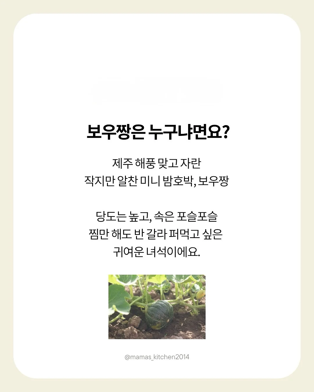 초등 백구팀 현장&봉투 모의고사 2