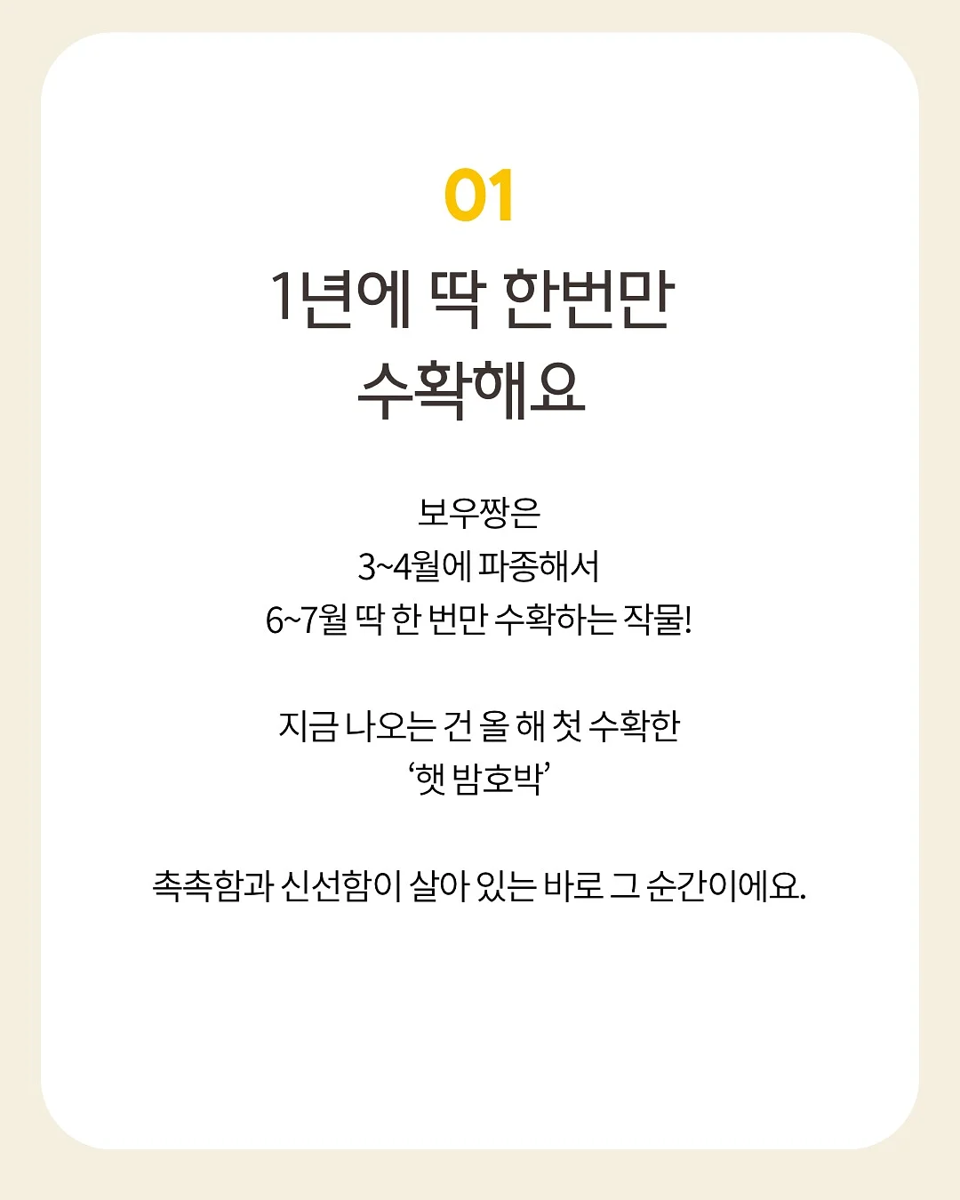 초등 백구팀 현장&봉투 모의고사 3