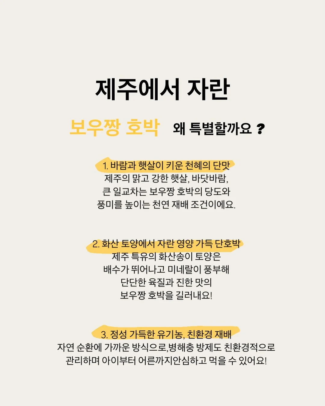초등 백구팀 현장&봉투 모의고사 4