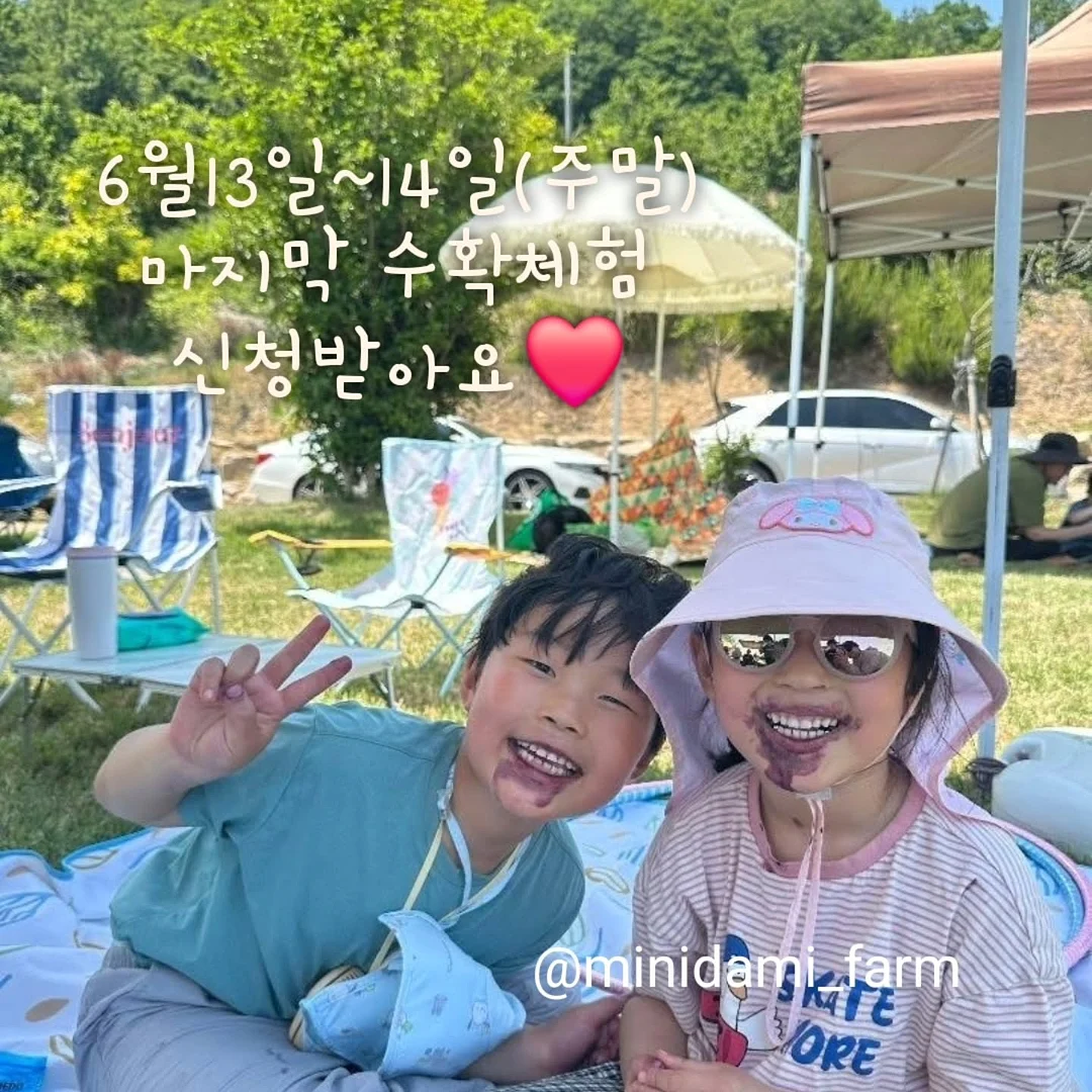 페이크 레이어드 티셔츠 1