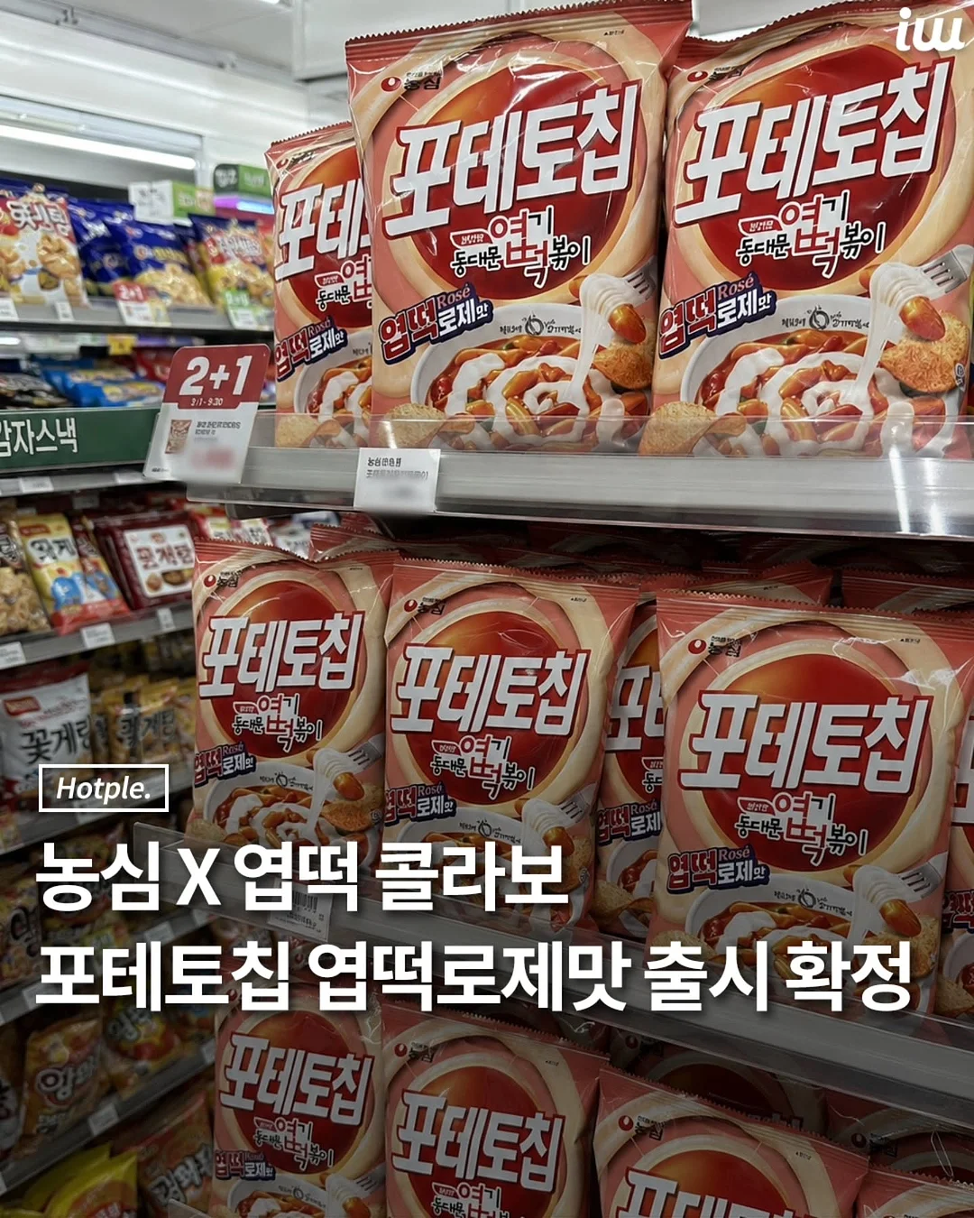 홀리데이 멀티비너 1