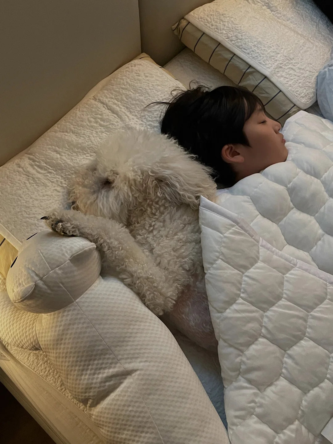 럭키 샤인 틴트 6