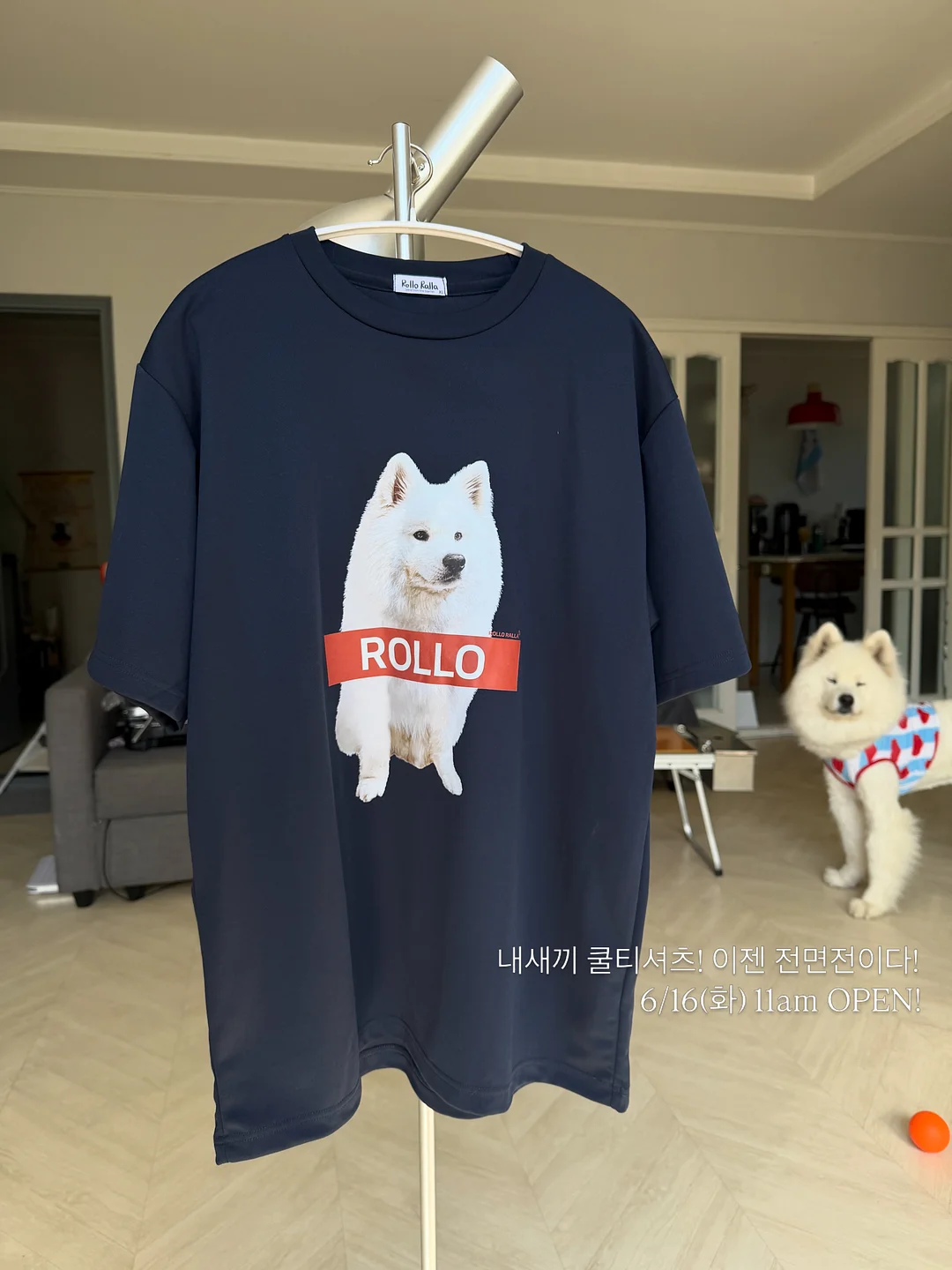 샌드위치와 수프 4