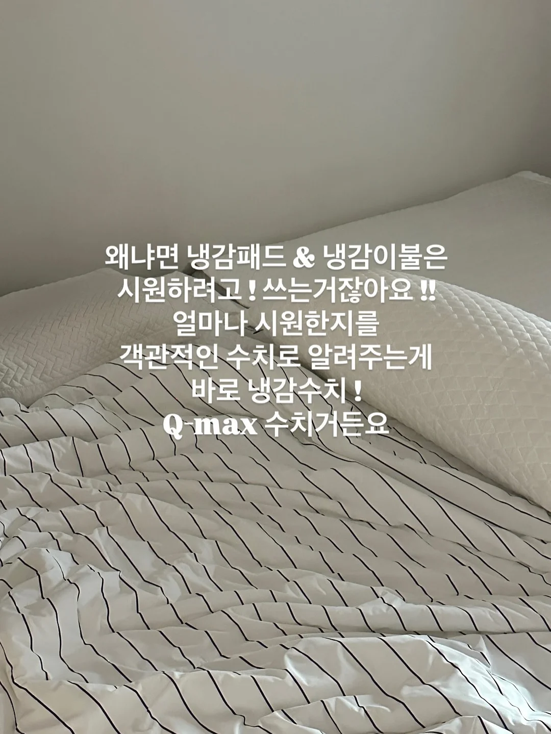 스퀴시 2