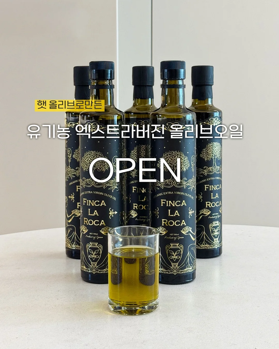 맨투맨 블라우스 1