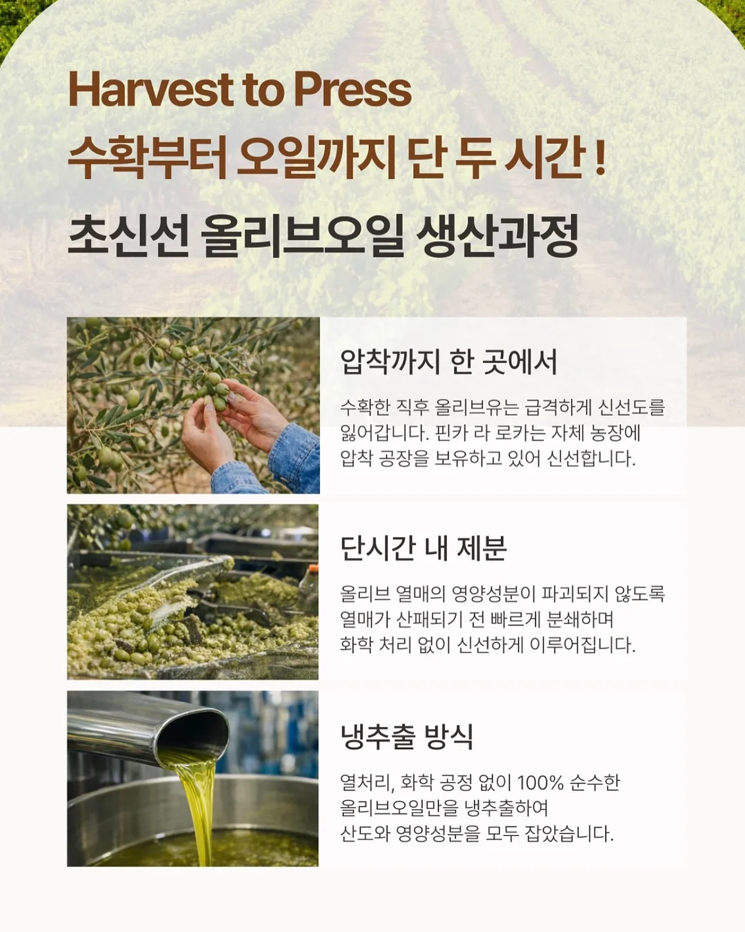 맨투맨 블라우스 13